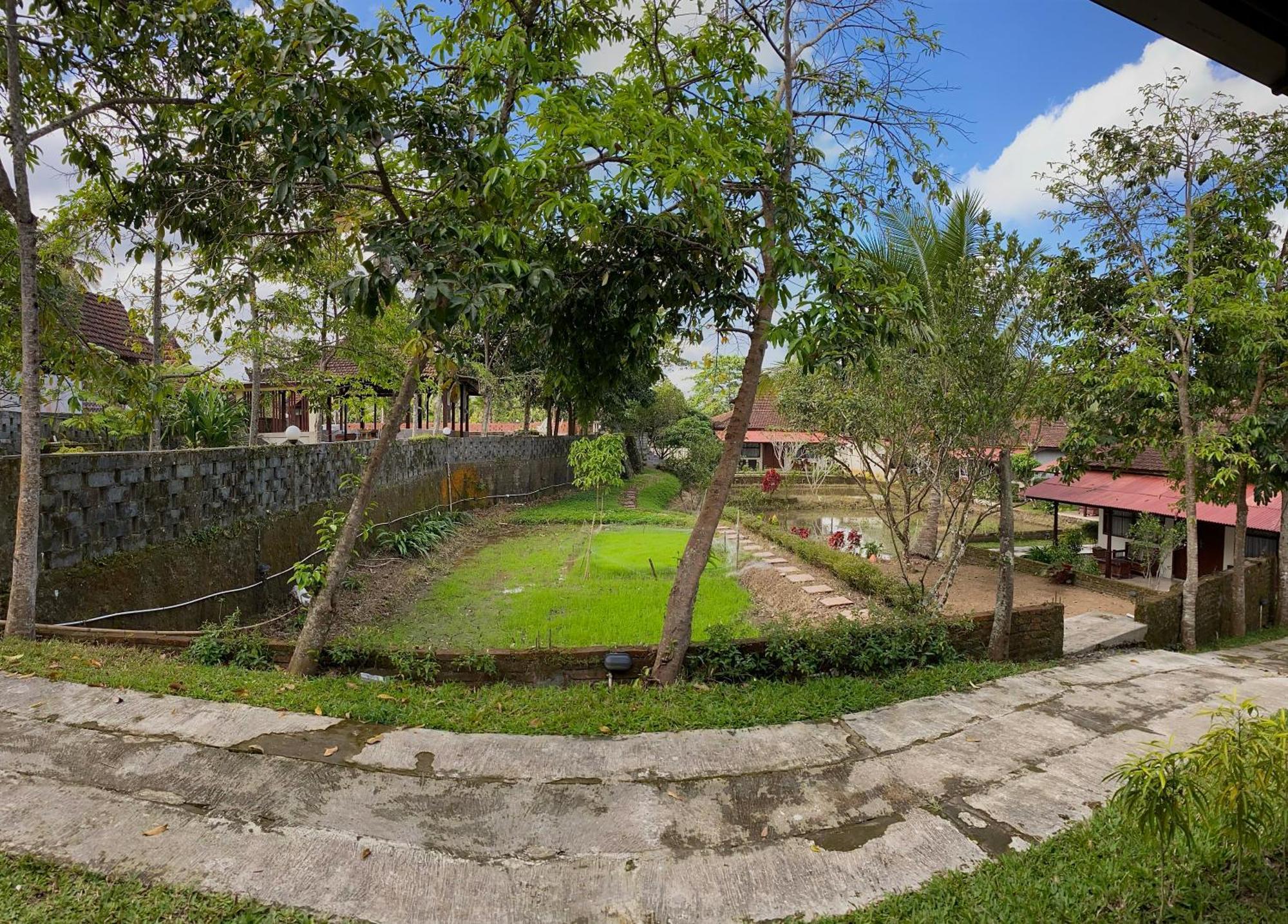 Vila Kampoeng Joglo Ijen Banyuwangi  Exteriér fotografie